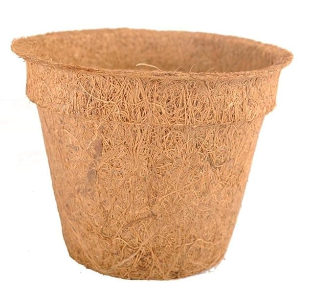 Coco Pot